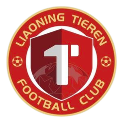 辽宁铁人队旗