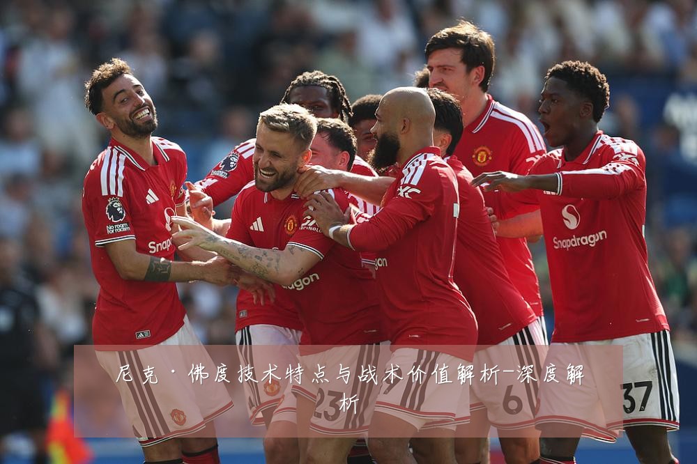 尼克·佛度技术特点与战术价值解析-深度解析